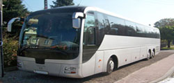 autonoleggio bus